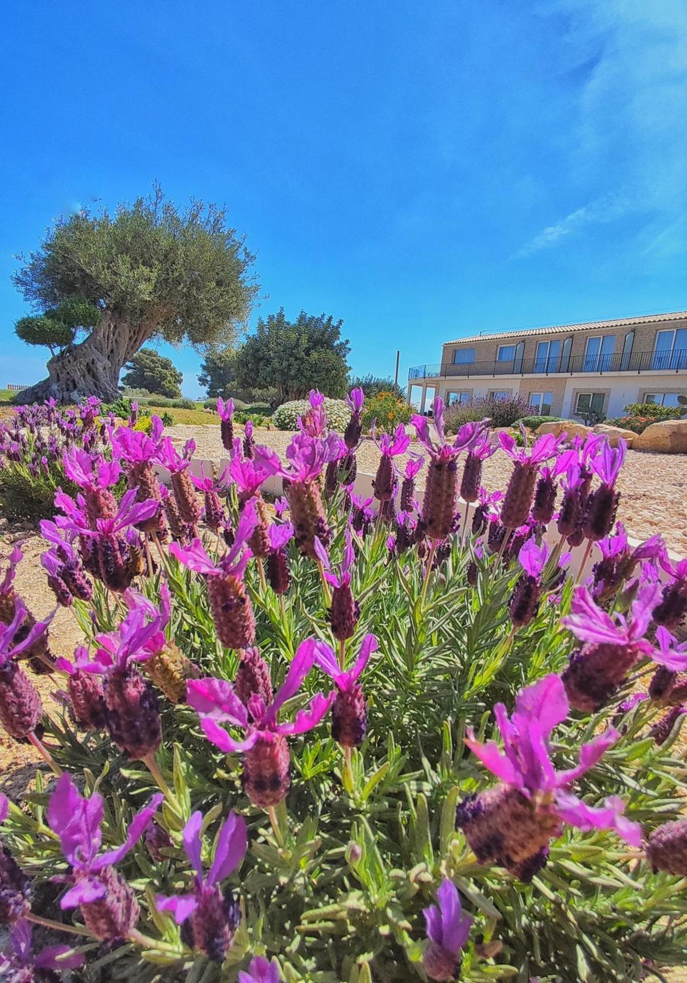 Carrua Guest House Marzamemi Eksteriør bilde